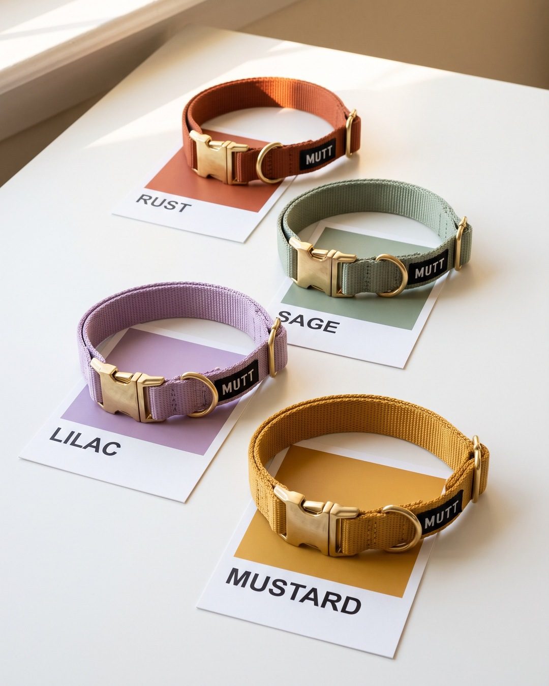 Four dog collars in rust, sage, lilac and mustard, each on a colour swatch card in its own shade